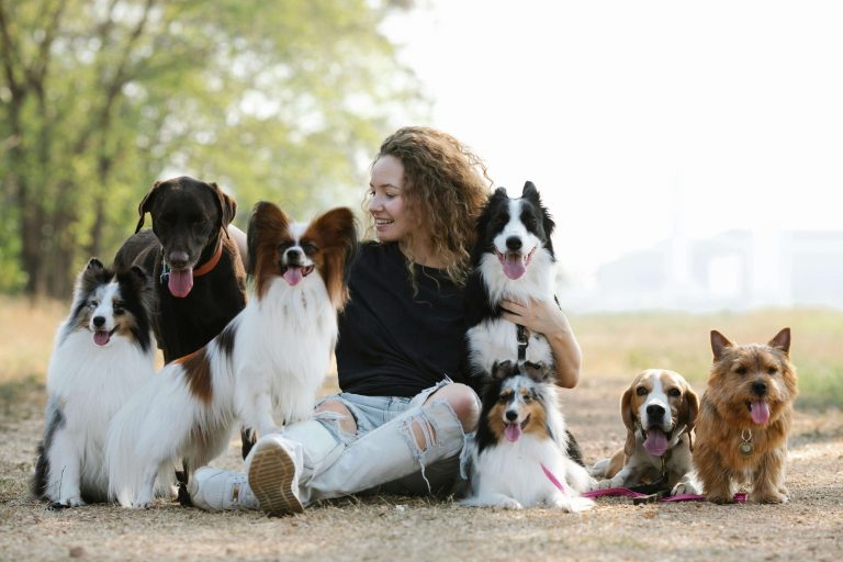 Un pet sitter auto-entrepreneur qui câline plusieurs chiens
