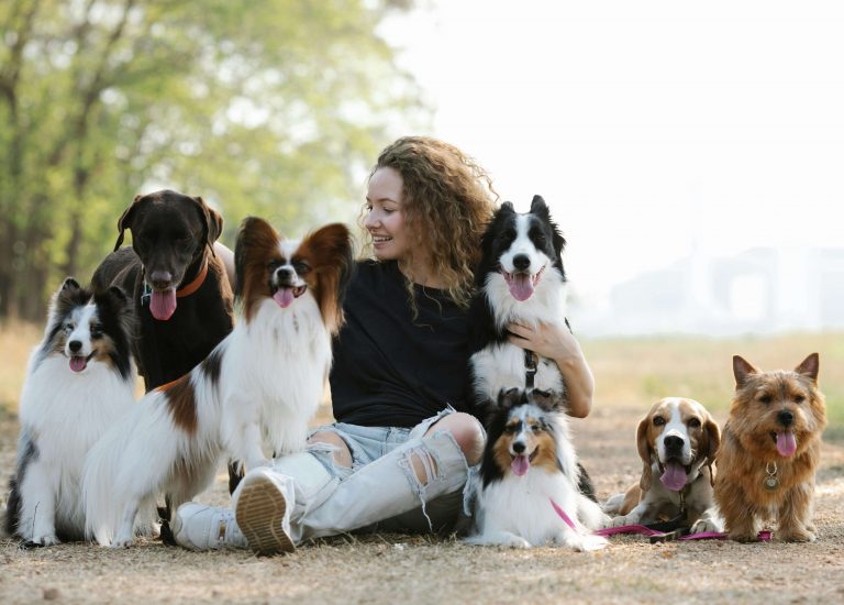 Un pet sitter auto-entrepreneur qui câline plusieurs chiens